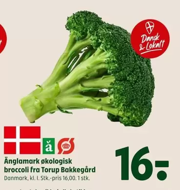 Broccoli