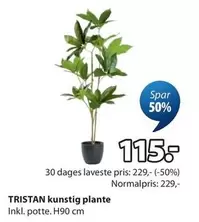 TRISTAN kunstig plante