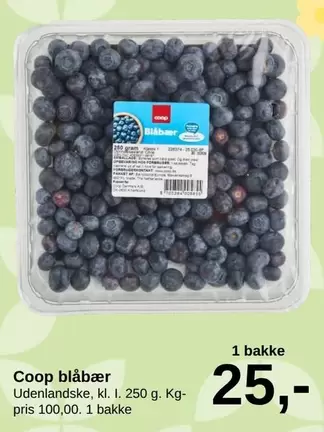 Coop blåbær