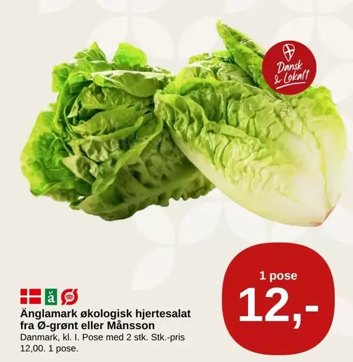 Økologisk hjertesalat