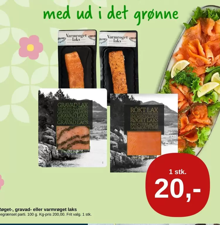Varmrøget laks, gravad eller varmrøget laks