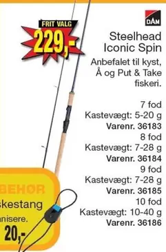 Steelhead Iconic Spin