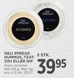 HUMMUS, TZAT-ZIKI ELLER DIP