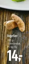 Ingefær