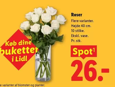 Dine - Roser