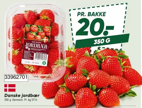 Jordbær
