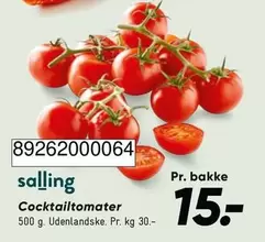 Cocktailtomater 892620000064