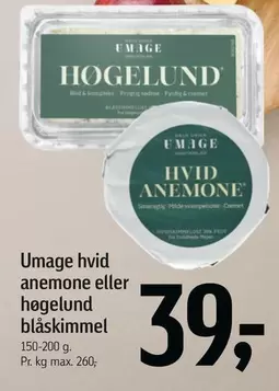 hvid anemone eller høgelund blåskimmel