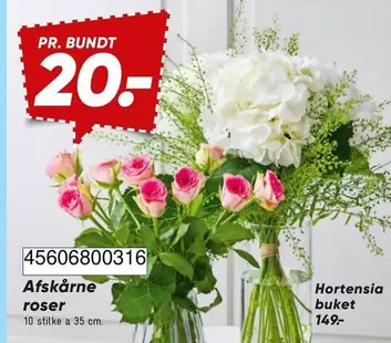 Roser - Afskårne roser