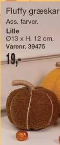 Fluffy græskar
