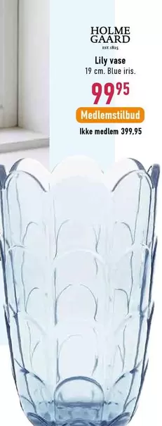 Lily vase