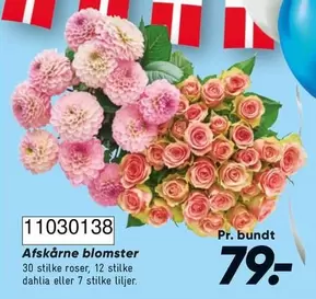 Roser - Afskårne blomster 11030138