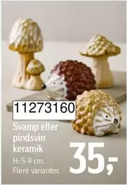 Keramik - Svampe eller pindsvin keramik