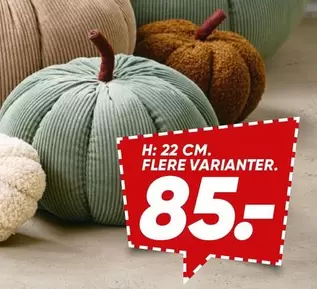 Decorative Pumpkins