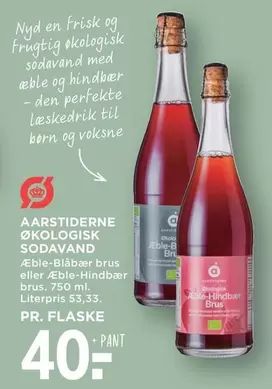 Den - ØKOLOGISK SODAVAND