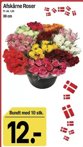 Roser - Afskårne
