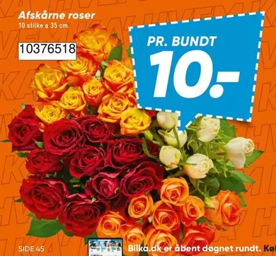 Roser - Afskårne roser 10 stk