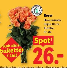 Dine - Roser