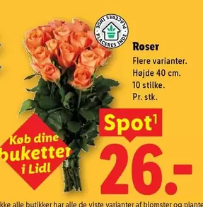 Dine - Roser