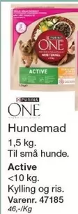 Hundemad