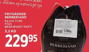 FRITG	ilde{A}ENDE BERBERIAND