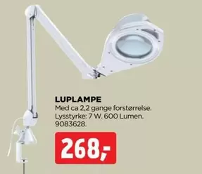 LUPLAMPE 9083628