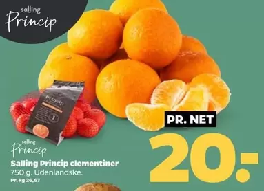Salling Princip clementiner