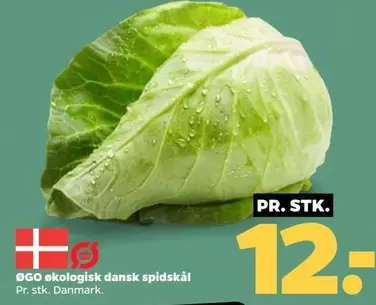 ØGO økologisk dansk spidskål