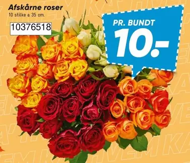 Roser - Afskårne roser 10376518