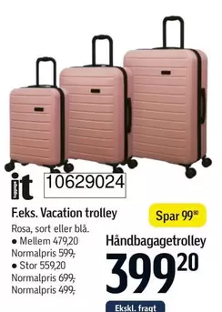 F.eks. Vacation trolley