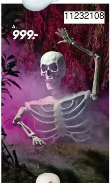 Skeleton Decoration 11232108
