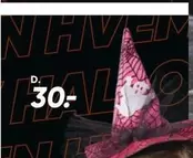 Halloween Witch Hat