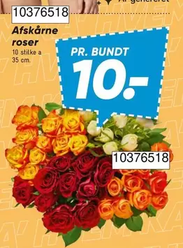 Roser - Afskårne roser 10376518