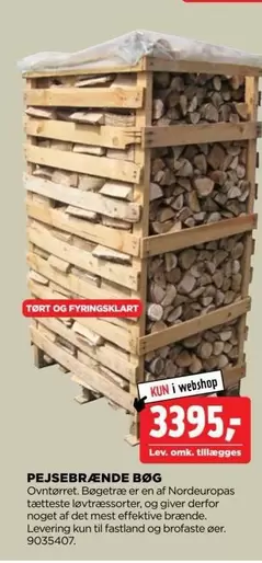 PEJSEBRÆNDE BØG