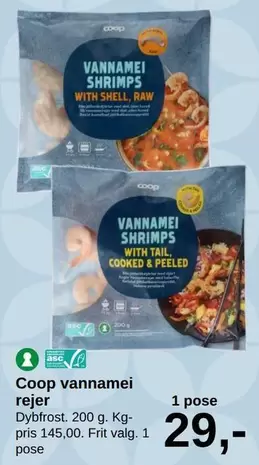Shell - Coop vannamei rejer