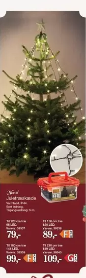 Julstrålkastare