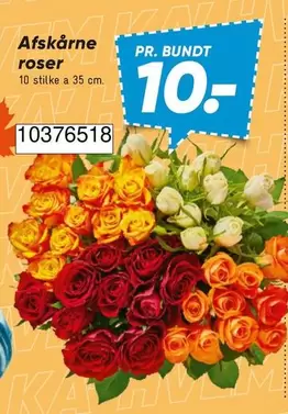 Roser - Afskårne roser 10376518