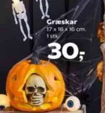 Græskar