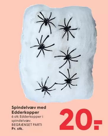 Spindelvæv med Edderkopper