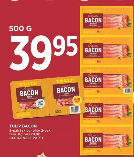 TULIP BACON