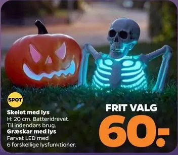 Skelet med lys
