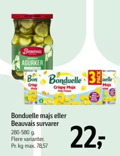 Majs Eller Survarer