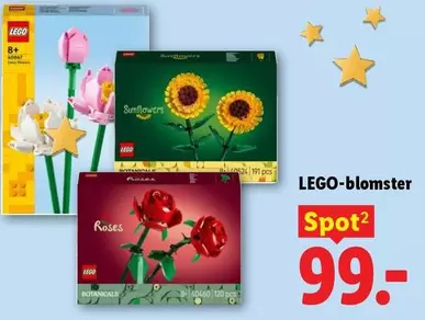 Lego - LEGO Botanicals