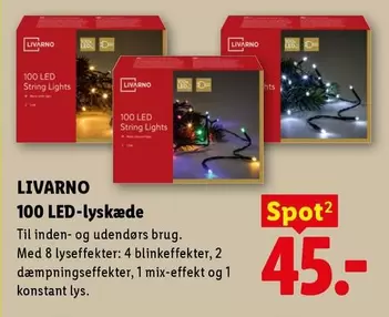 100 LED String Lights