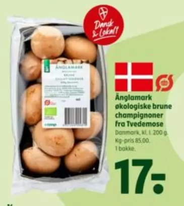 økologiske brune champignoner