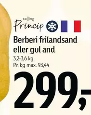 Berberi frilandsand eller gul and