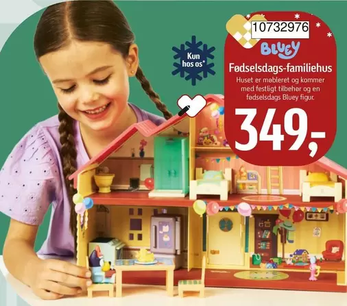 Fødselsdags-familiehus 10732976