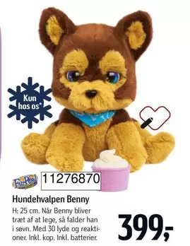 Hunde­hvalpen Benny 11276870