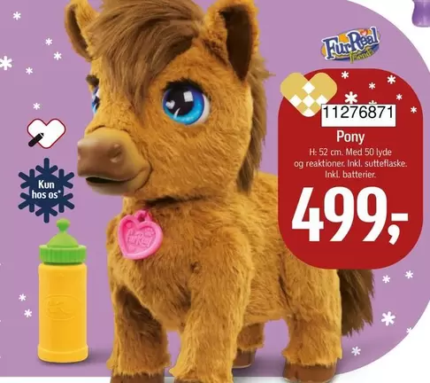 Pony