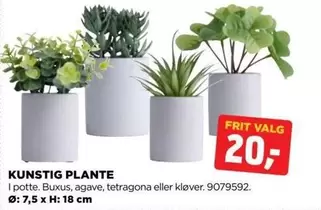 KUNSTIG PLANTE I potte. Buxus, agav, tetragona eller kløver. 9079592.